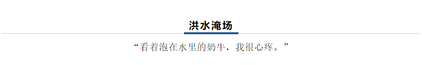 【乳報(bào)·聚焦】“豫”難而上的中原牛人“太中了”！