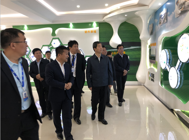 河南省委副書記、省長陳潤兒一行蒞臨 花花牛集團(tuán)魯山瑞亞牧業(yè)有限公司視察調(diào)研