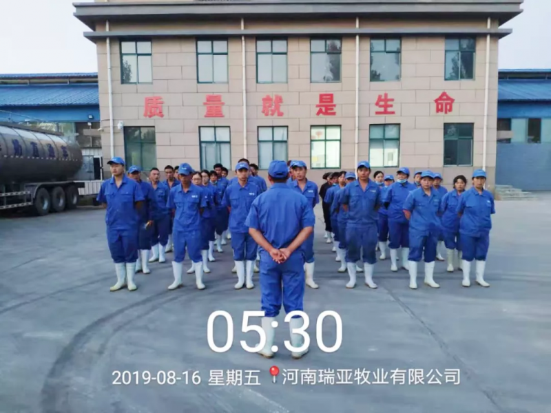 小晨會·大能量——砥礪奮進的花花牛，加油！